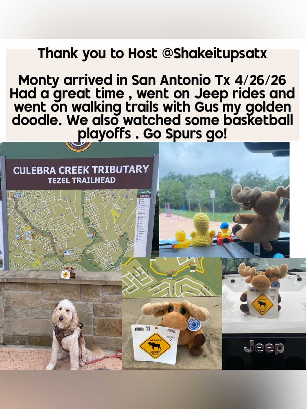 MONTY MOOSE TRACKING! Where in the Posh Universe is Monty Moose? - Picture 2 of 16